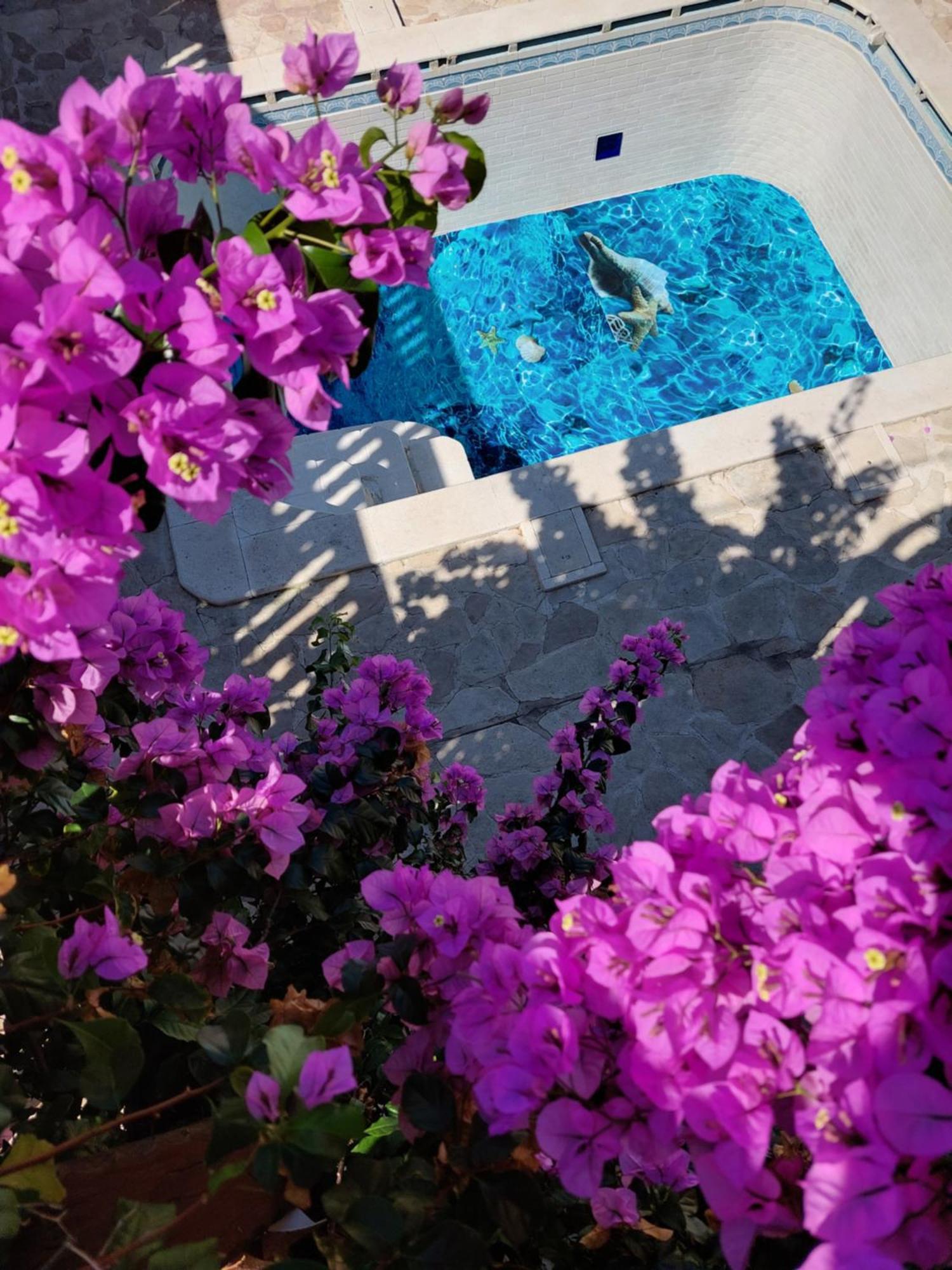 Studios Villa Romantica 扎达尔 外观 照片